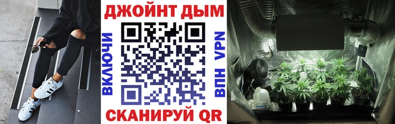 Как найти наркотики Заволжье LSD-25  A-PVP  Галлюциногенные грибы  Гашиш  omg как войти  COCAIN 